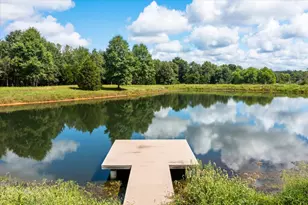 7202 River Rd, Iuka, IL 62849 - Photo 33