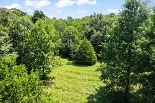 7202 River Rd, Iuka, IL 62849 - Photo 49