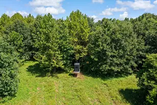 7202 River Rd, Iuka, IL 62849 - Photo 41