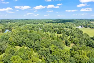 7202 River Rd, Iuka, IL 62849 - Photo 47