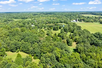 7202 River Road, Iuka, IL 62849 - Photo 43