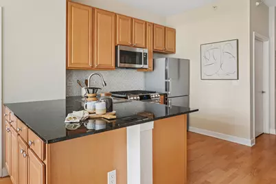 233 E 13th Street #510, Chicago, IL 60605 - Photo 5