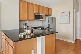 233 E 13th St, Chicago, IL 60605 - Photo 5