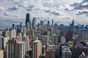 1516 N State Pkwy, Chicago, IL 60610 - Photo 27