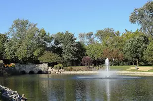 1108 Lodgepole Ct, Darien, IL 60561 - Photo 17