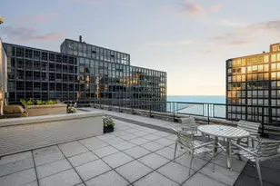253 E Delaware Pl, Chicago, IL 60611 - Photo 19