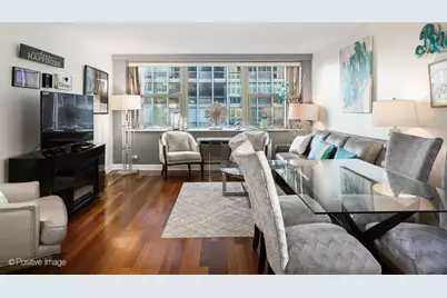 253 E Delaware Place #18AB, Chicago, IL 60611 - Photo 9