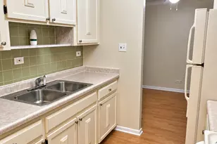 16 E Old Willow Rd, Prospect Heights, IL 60070 - Photo 19