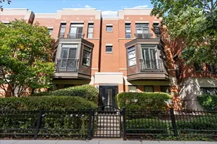 944 W 15th Pl, Chicago, IL 60608 - Photo 1
