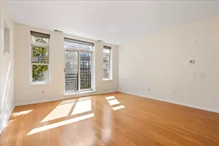 944 W 15th Pl, Chicago, IL 60608 - Photo 3