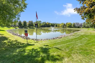 2010 Ivy Ridge Drive, Hoffman Estates, IL 60192 - Photo 39