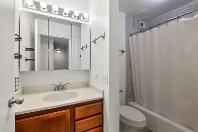 222 E Pearson Street #1006, Chicago, IL 60611 - Photo 11