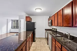 222 E Pearson St, Chicago, IL 60611 - Photo 7