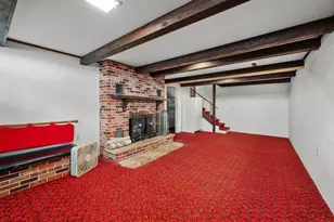 28525 94th Ave N, Hinsdale, IL 61257 - Photo 49