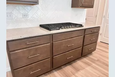 729 Dropseed Lane #75002, Bolingbrook, IL 60490 - Photo 3