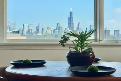 2306 W Chicago Avenue #4, Chicago, IL 60622 - Photo 5