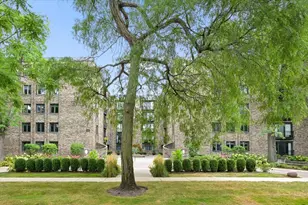 1009 Bonnie Brae Pl, River Forest, IL 60305 - Photo 1