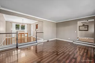 613 Glenn Ct, Schaumburg, IL 60193 - Photo 11