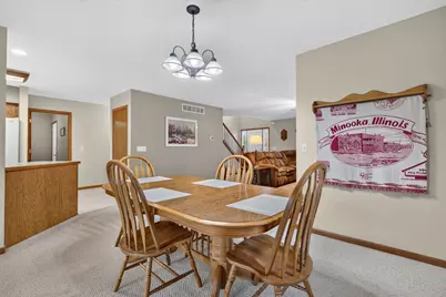 723 O Toole Drive, Minooka, IL 60447 - Photo 29