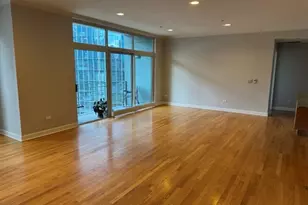 445 E North Water St, Chicago, IL 60611 - Photo 3