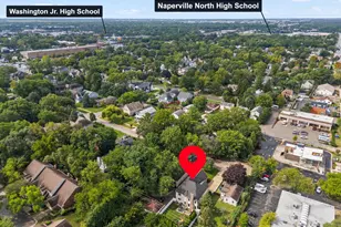 830 N Sleight St, Naperville, IL 60563 - Photo 43