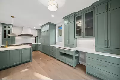 1321 N Webster Street, Naperville, IL 60563 - Photo 19