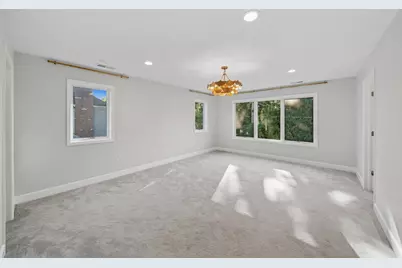1321 N Webster Street, Naperville, IL 60563 - Photo 21