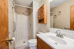 3520 Blue Gill Ct, Morris, IL 60450 - Photo 19
