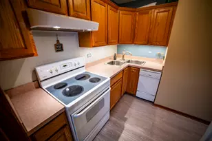 10804 S Ridgeway Ave, Chicago, IL 60655 - Photo 19