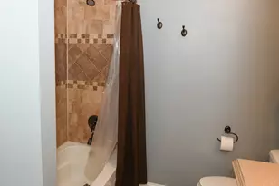 133 Linden Dr, Frankfort, IL 60423 - Photo 19