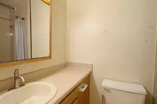 3021 S Michigan Ave, Chicago, IL 60616 - Photo 11