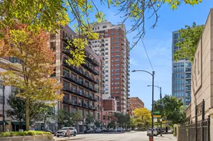 1529 S State St, Chicago, IL 60605 - Photo 1