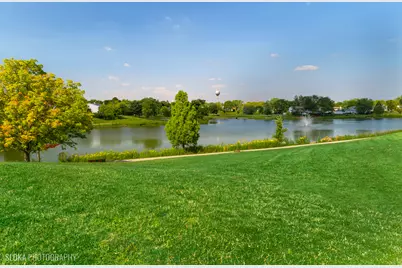 4170 Ludington Court, Hoffman Estates, IL 60192 - Photo 47