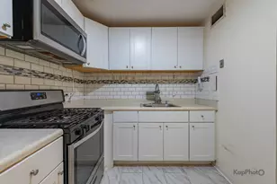 1450 E 55th St, Chicago, IL 60615 - Photo 15