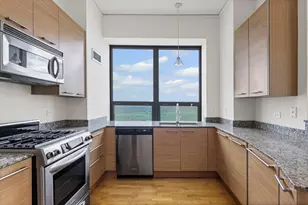 450 E Waterside Dr, Chicago, IL 60601 - Photo 9