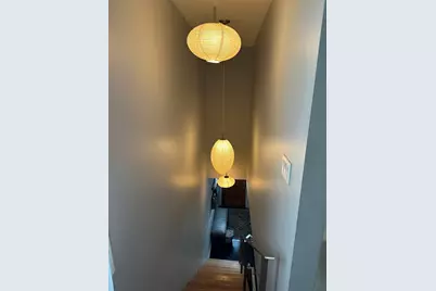 3438 S Normal Avenue, Chicago, IL 60616 - Photo 29