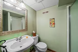 3910 Mockingbird Ln, Byron, IL 61010 - Photo 31