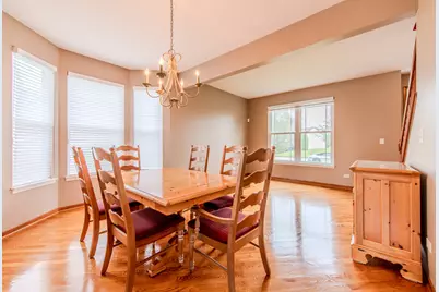 711 Silver Fox Drive, Joliet, IL 60431 - Photo 17