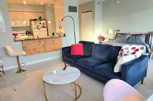512 N McClurg Ct, Chicago, IL 60611 - Photo 3