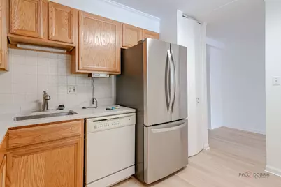 6330 Lincoln Avenue #2A, Morton Grove, IL 60053 - Photo 19