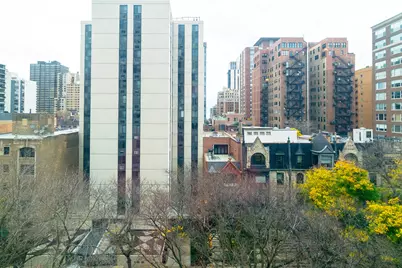 1340 N Dearborn Parkway #8B, Chicago, IL 60610 - Photo 13
