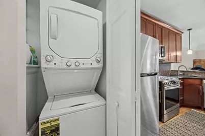 344 S Maple Avenue #2B, Oak Park, IL 60302 - Photo 19