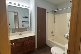33 Buchanan Ln, Streamwood, IL 60107 - Photo 19