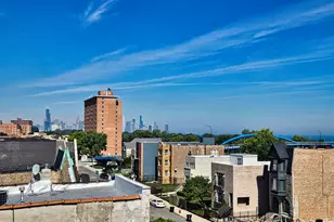 4400 S Oakenwald Ave, Chicago, IL 60653 - Photo 35