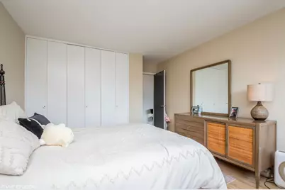 70 W Burton Place #1104, Chicago, IL 60610 - Photo 9