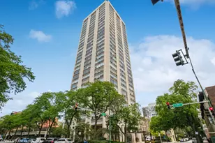 70 W Burton Pl, Chicago, IL 60610 - Photo 1