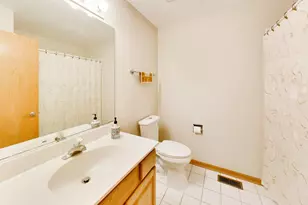 13886 Steeple View Ln, Lemont, IL 60439 - Photo 35