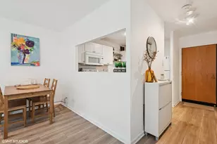 211 E Ohio St, Chicago, IL 60611 - Photo 7