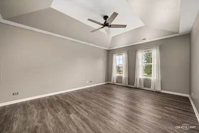 1017 Simms Court, Plano, IL 60545 - Photo 19