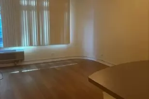 211 E Ohio St, Chicago, IL 60611 - Photo 3